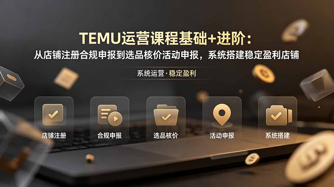 TEMU运营课程(基础+进阶-选优云网创