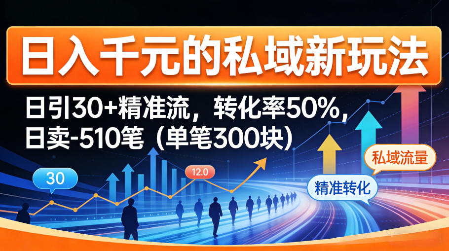 日入千米的私域新玩法：日引30＋精准流，转化率50%，日卖5-10笔（单笔300米）-选优云网创