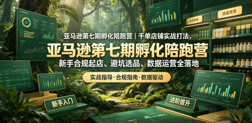 亚马逊孵化陪跑营｜千单店铺实战打法，新手合规起店、避坑选品、数据运营全落地(更新0708)-选优云网创