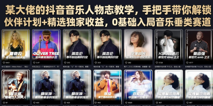 某大佬的抖音音乐人物志教学，手把手带你解锁伙伴计划+精选独家收益，0基础入局音乐垂类赛道-选优云网创