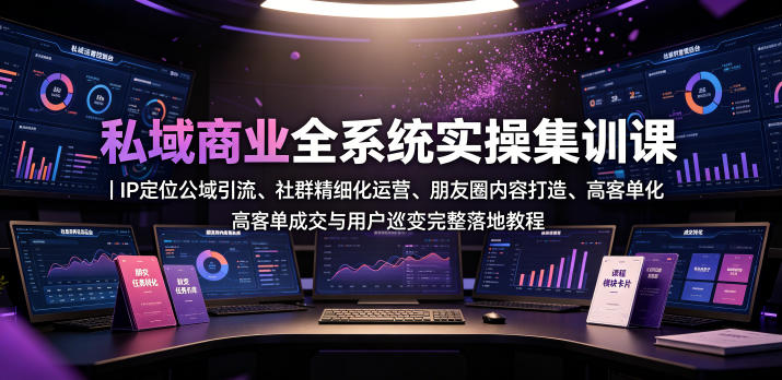 私域商业全系统实操课｜IP定位公域引流、社群精细化运营、朋友圈内容打造、高客单成交与用户裂变完整落地教程-选优云网创