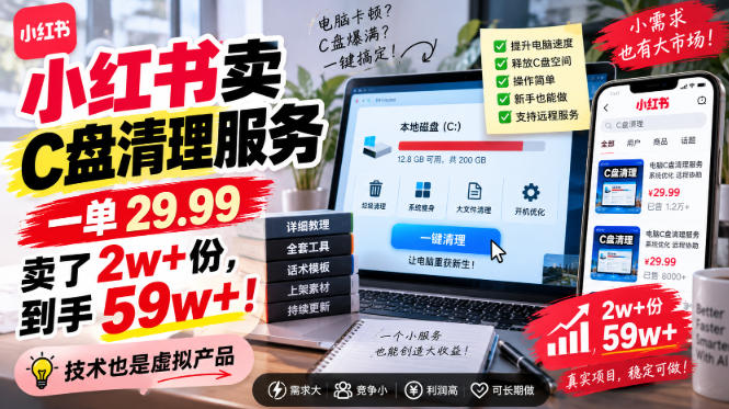 小红书卖C盘清理服务，一单29.99，卖了2w+份，技术也是虚拟产品-选优云网创