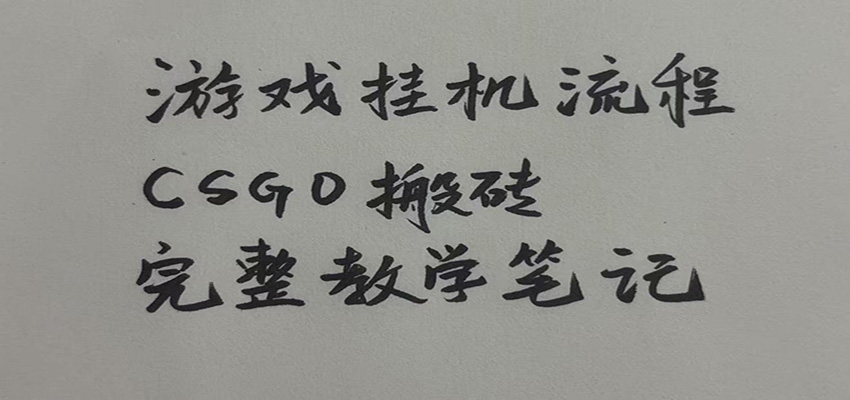 游戏挂机全流程笔记分享，CSGO游戏搬砖，小白看了当天学会见收益-选优云网创