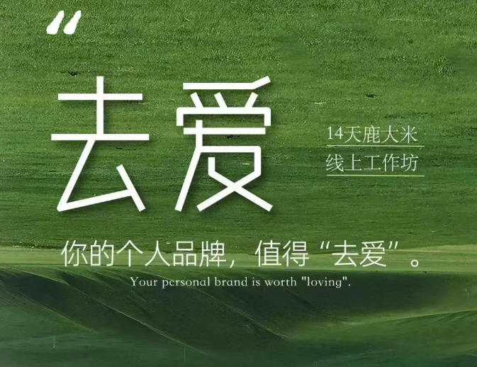 去爱14天鹿大米线上工作坊，你的个人品牌，值得“去爱”-选优云网创