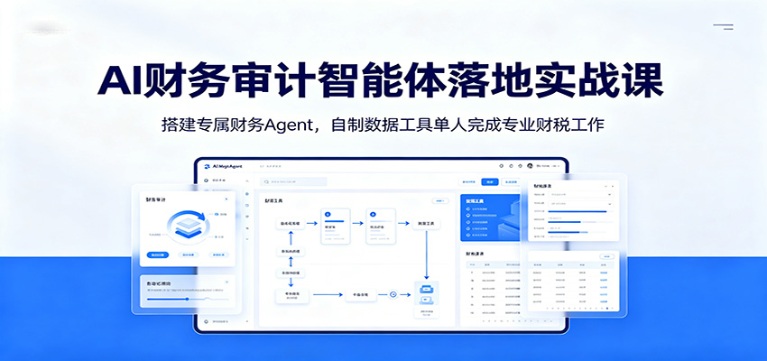 AI财务审计智能体落地实战课：搭建专属财务Agent，自制数据工具单人完成专业财税工作-选优云网创