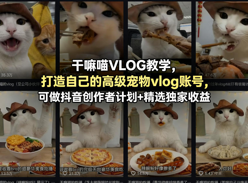 干嘛喵VLOG教学，打造自己的高级宠物vlog账号，可做抖音创作者计划+精选独家收益-选优云网创