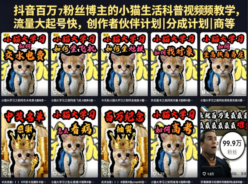 抖音百万粉丝博主的小猫生活科普视频教学，流量大起号快，创作者伙伴计划|分成计划|商单|收徒等-选优云网创