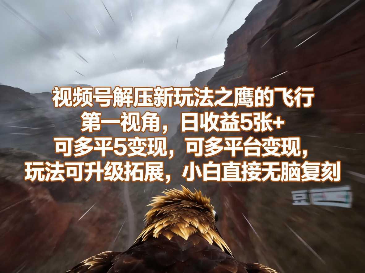 视频号解压新玩法之鹰的飞行第一视角，日收益5张+，可多平台变现，玩法可升级拓展，小白直接无脑复刻-选优云网创